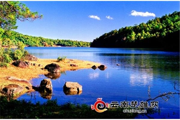 云南楚雄网