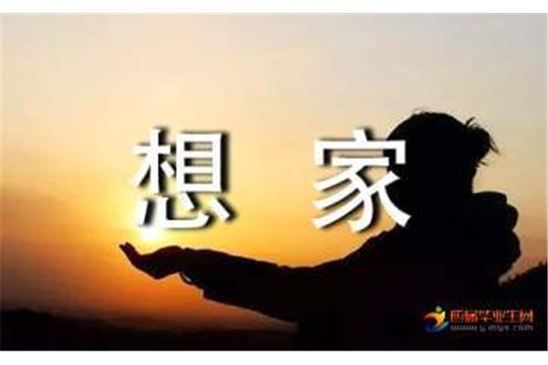 想家的经典句子