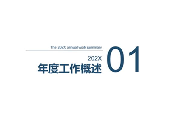 年度总结报告