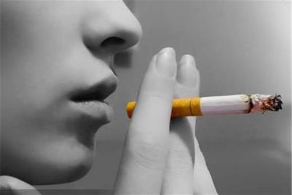 人体的血液循环