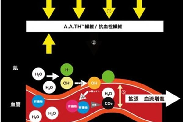 人体的血液循环