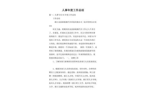 年度总结报告