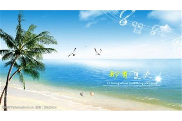 夏天的故事