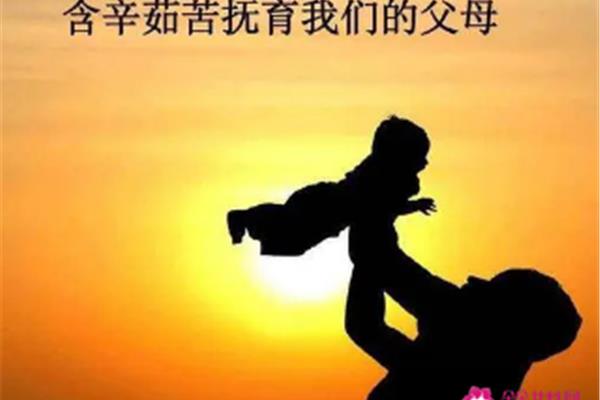 年纪大了感慨句子