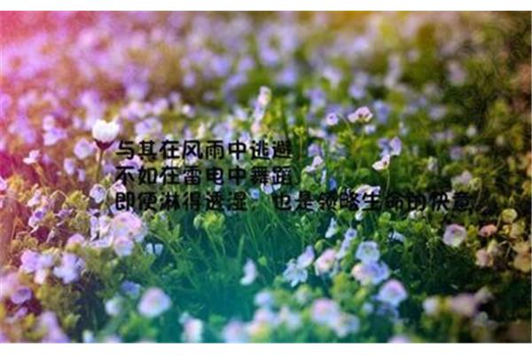 想家的经典句子