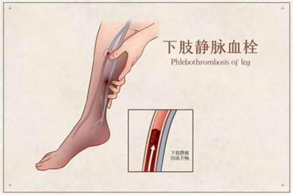 人体的血液循环