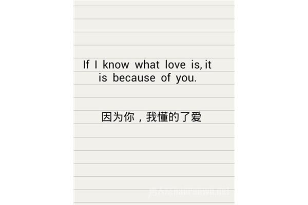 爱情的英语
