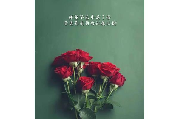 浪漫的句子