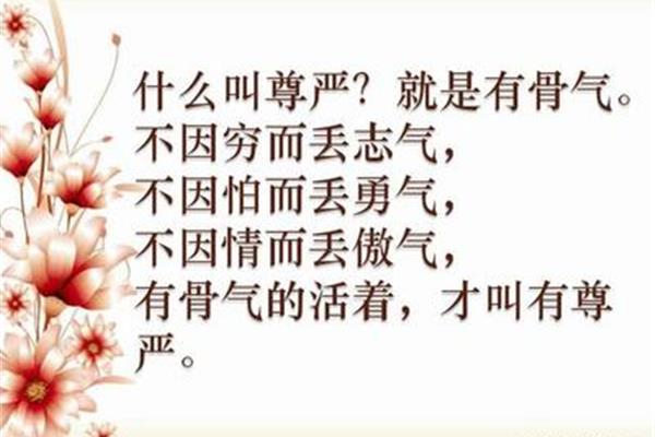 志气的意思