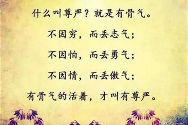 志气的意思