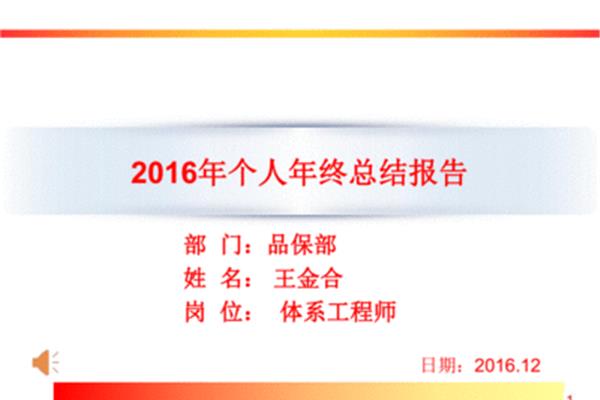 年度总结报告