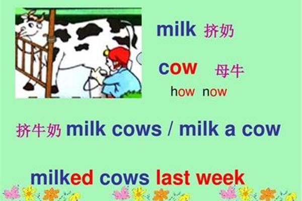 牛奶的英语怎么说