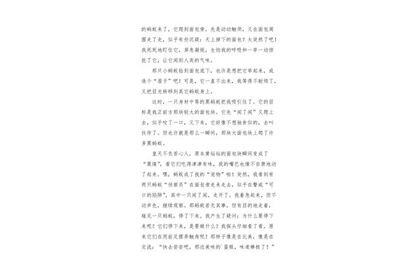 观察蚂蚁的作文