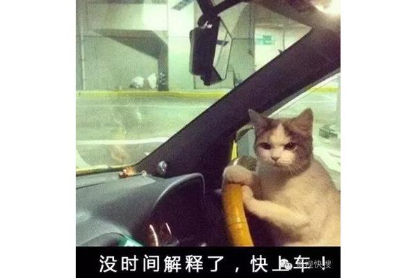 不要了还夹那么紧