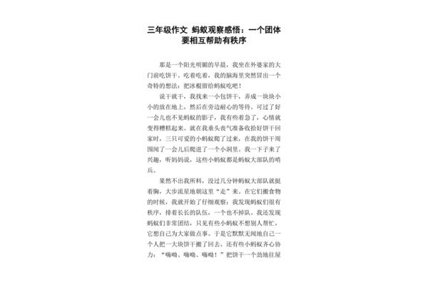 观察蚂蚁的作文