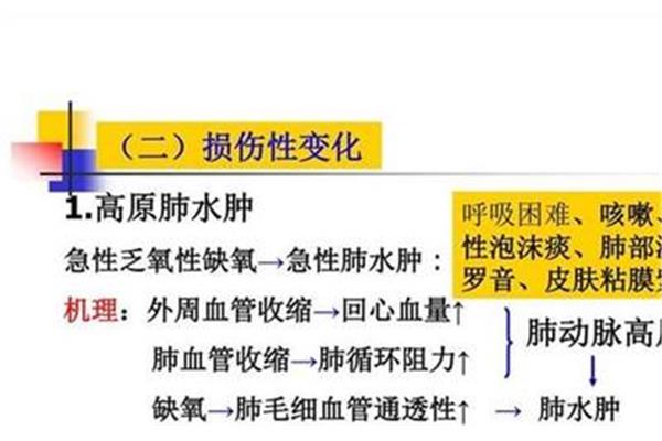 呼吸衰竭名词解释