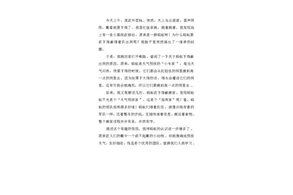 观察蚂蚁的作文