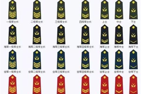 士官有几级