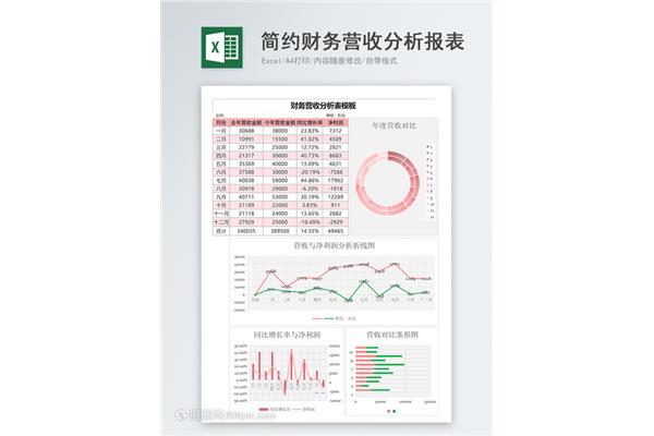 财务分析模板