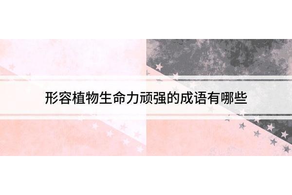 形容阳光的成语