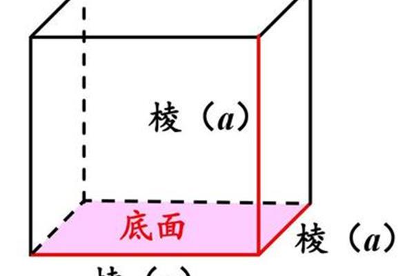 体表面积怎么算