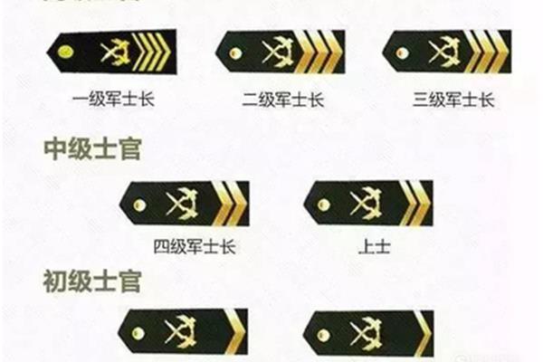 士官有几级