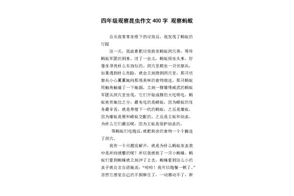 观察蚂蚁的作文