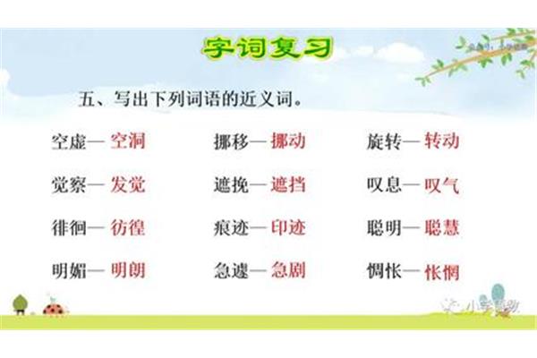 旋转的近义词