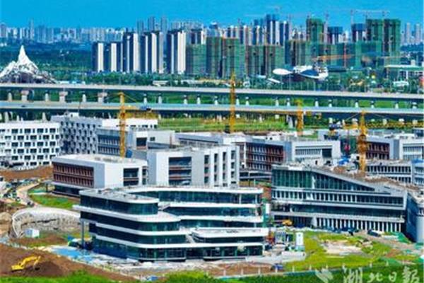 襄阳的大学