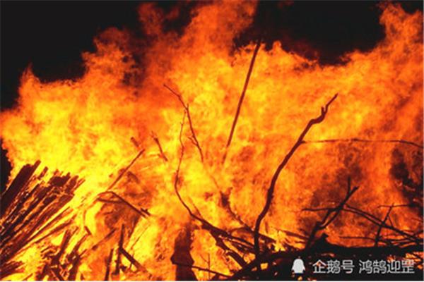 什么的火种