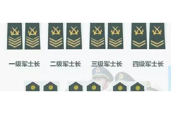 士官有几级