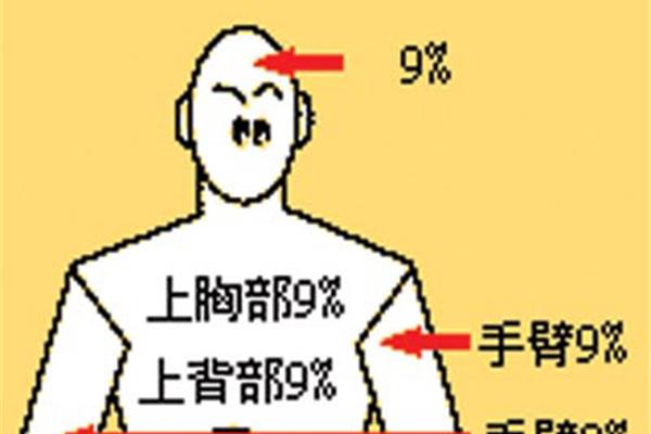 体表面积怎么算