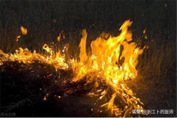 什么的火种