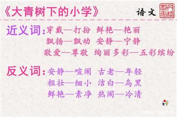 绚丽的近义词