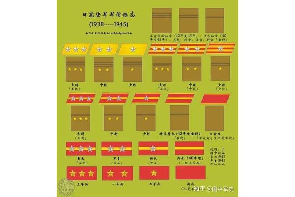士官有几级