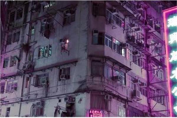 2049年的我