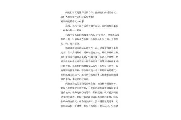 观察蚂蚁的作文