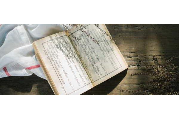 退怎么组词