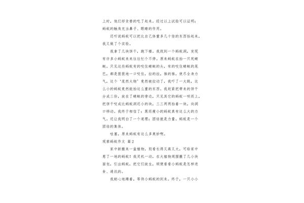 观察蚂蚁的作文