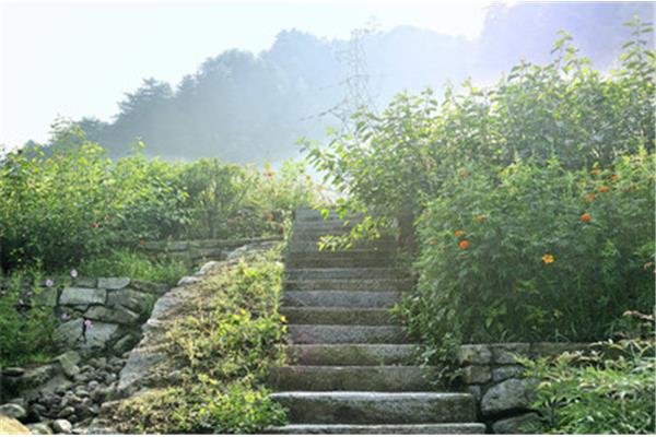 一觉醒来是早晨