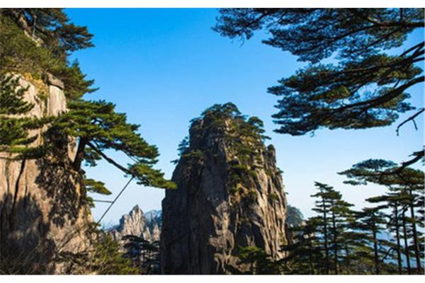 黄山风景的特点