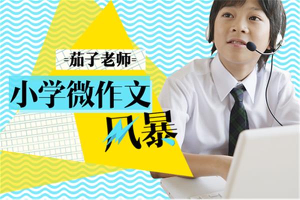 小学作文培训