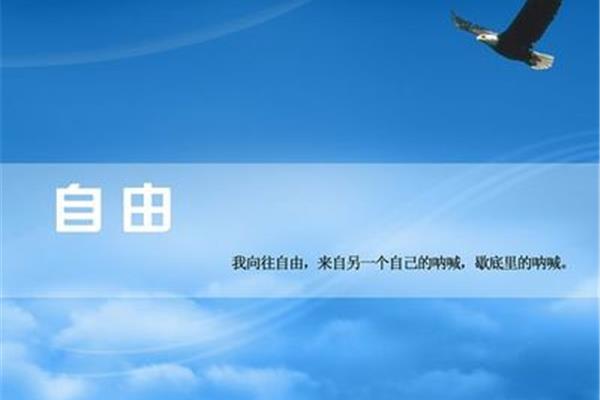 向往自由的句子