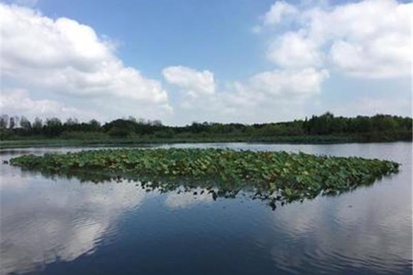 泰州溱湖湿地公园