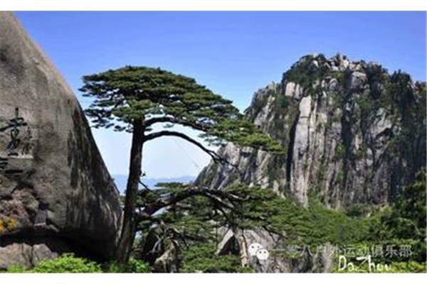 黄山风景的特点