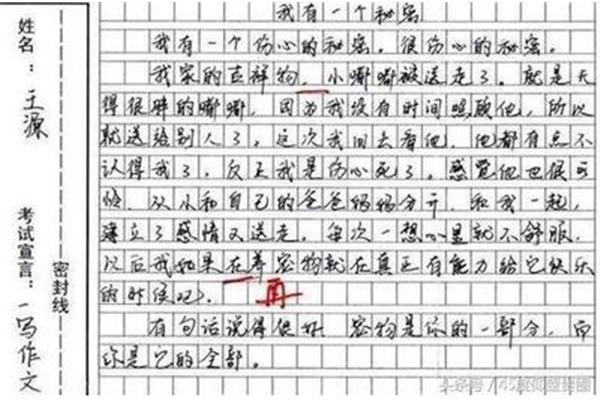 见字如面作文