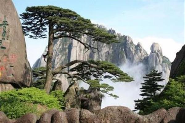 黄山风景的特点