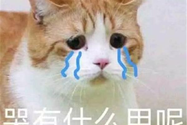 哭有什么用