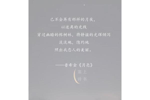 读书的句子