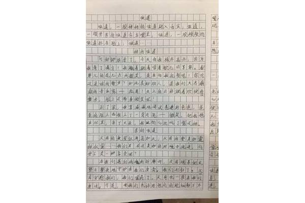 研学的作文